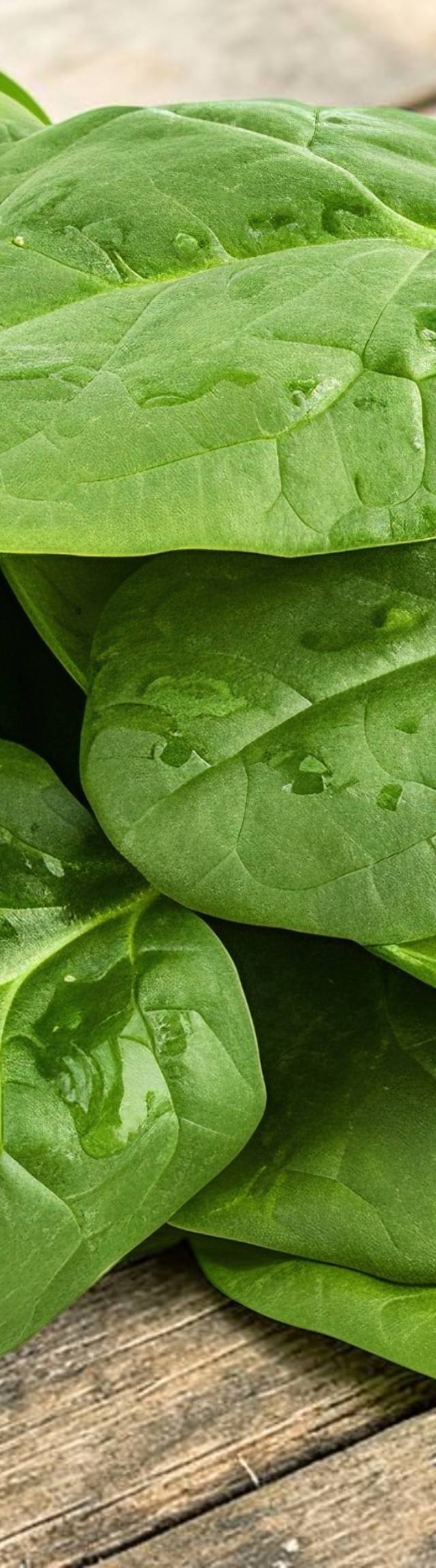 Fresh Vegetables