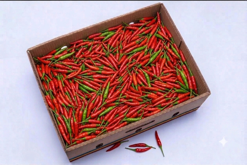 Herbs & Spices