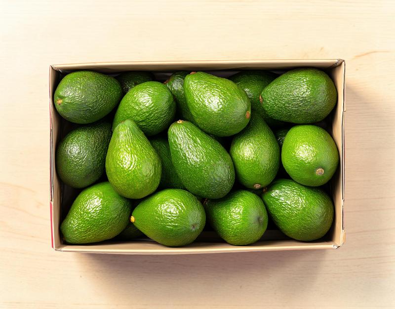 Avocado Medium Box